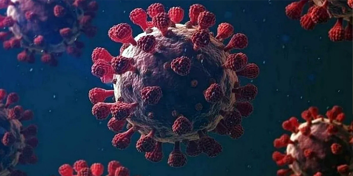 Coronavirus Article